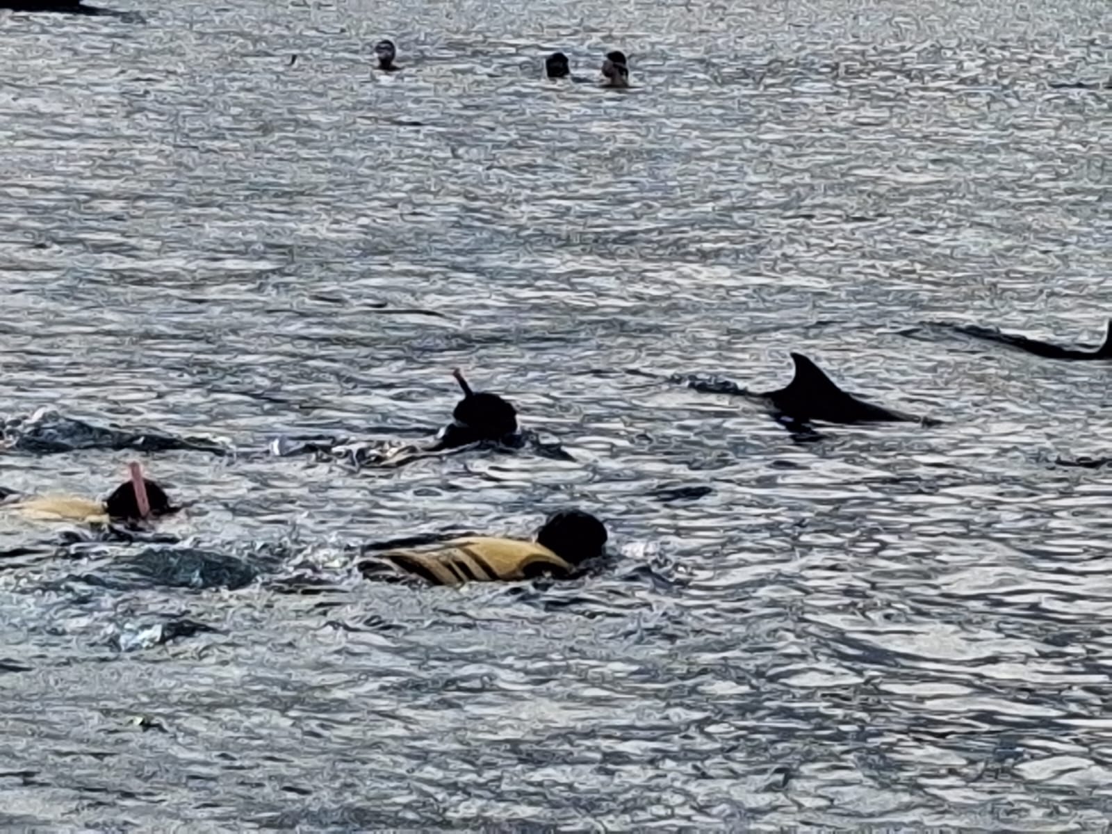 WhatsApp Image 2026-02-14 at 10.20.00