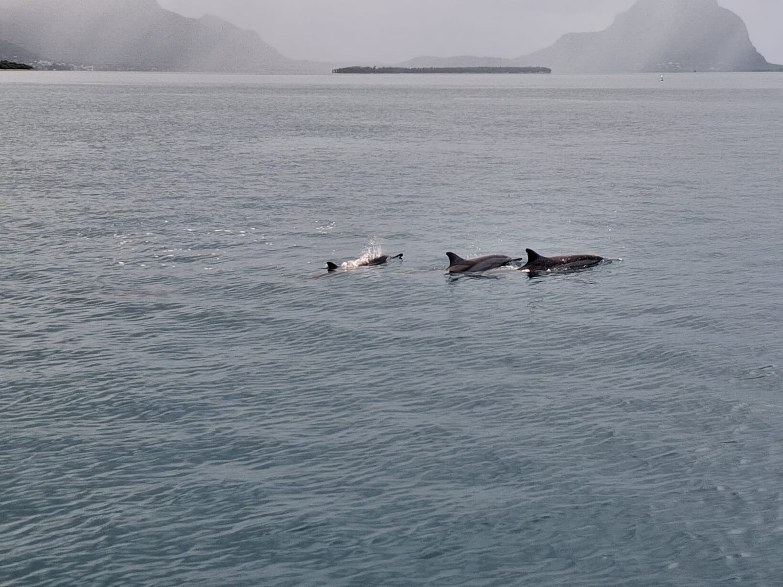 WhatsApp Image 2026-02-14 at 10.20.01 (2)