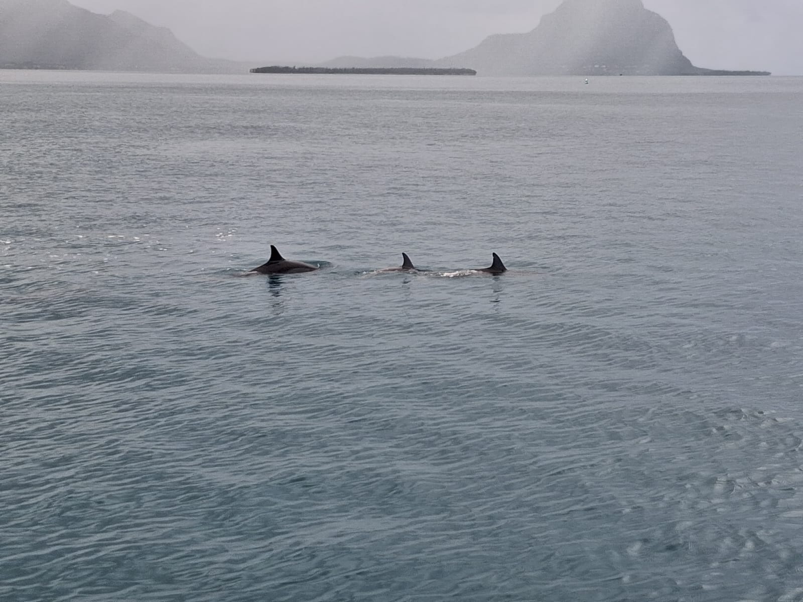 WhatsApp Image 2026-02-14 at 10.20.01