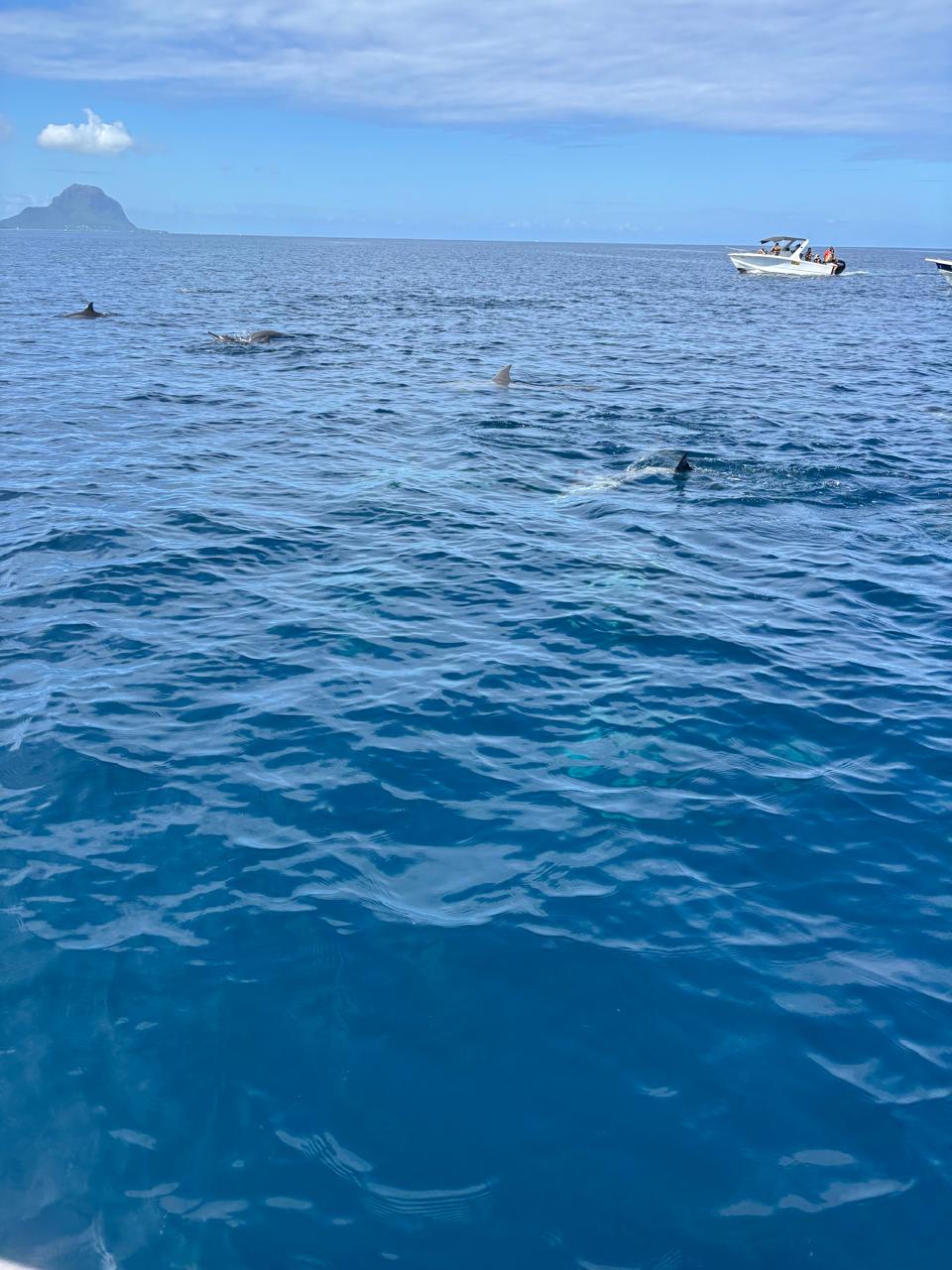 WhatsApp Image 2026-02-18 at 07.47.05 (2)