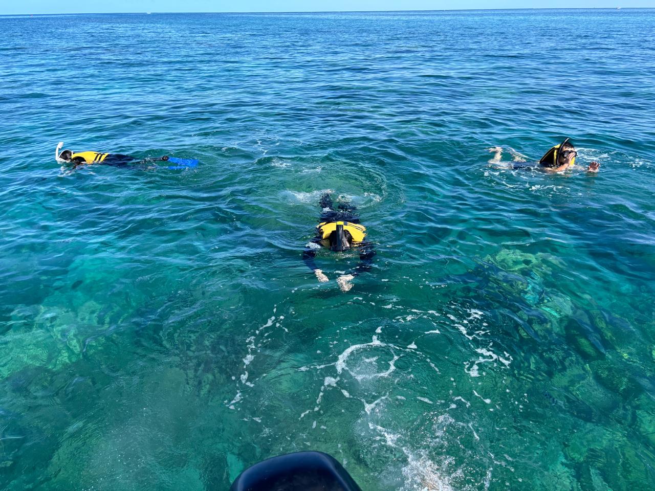 WhatsApp Image 2026-02-18 at 07.47.07