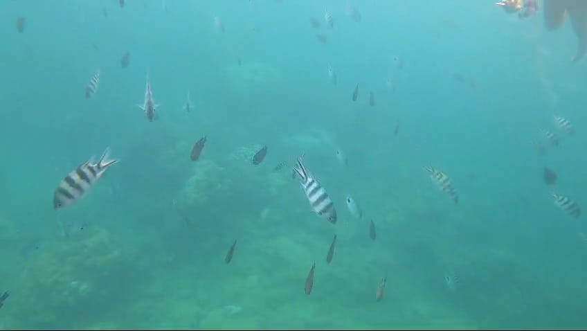 WhatsApp Image 2026-02-18 at 07.58.43