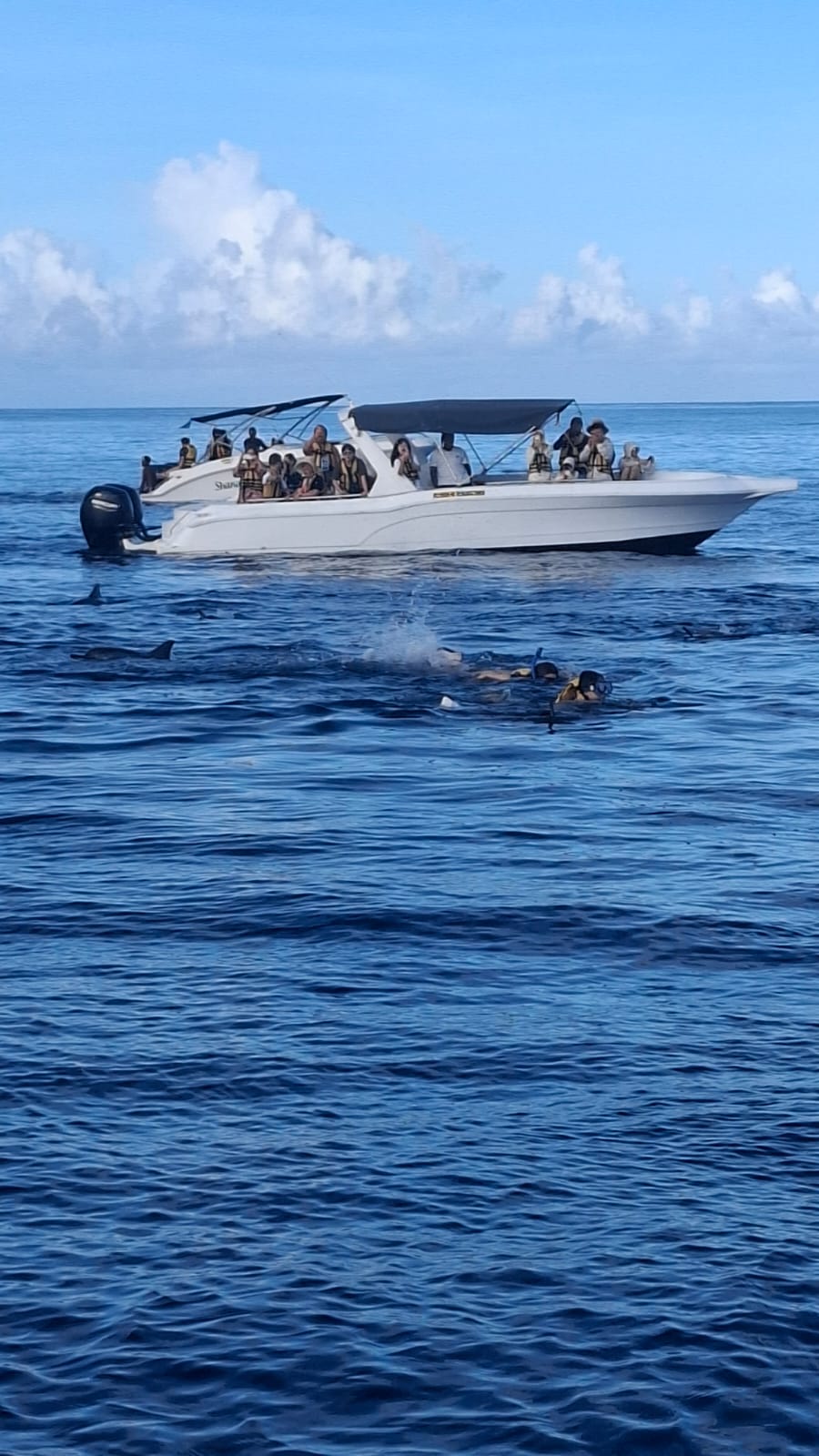 WhatsApp Image 2026-02-19 at 08.47.50