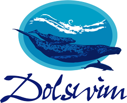 Dolswim Ltd Eshop